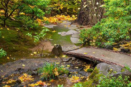 An autumn day looking at a small bridge and footpath made with large rocks. A colorful day at the Portland Japanese Garden. This is located in the Pacific Northwest in in Portland, Oregon.