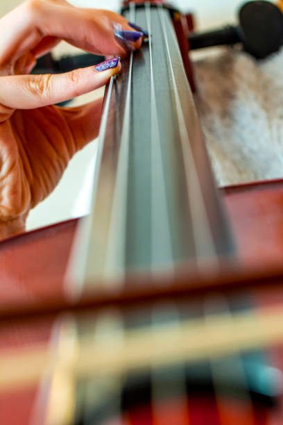 istock Close up of bridge, violin part 1287306099