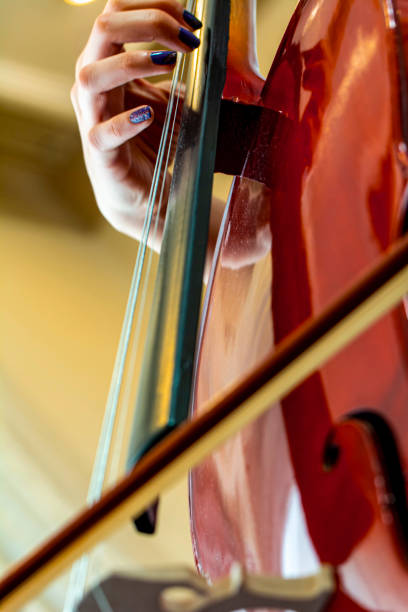 istock Close up of bridge, violin part 1287307367