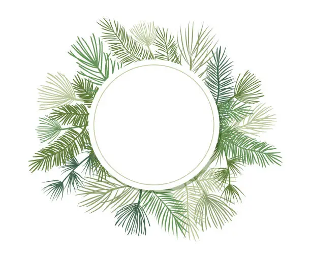 Vector illustration of Christmas plant vector circle border with fir and pine branches, evergreen wreath and corners frames. Foliage illustration