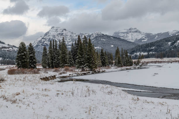 istock Peaceful and beautiful Yellowstone winter landscape 1287310159