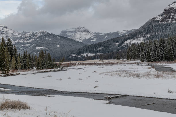 istock Peaceful and beautiful Yellowstone winter landscape 1287310264