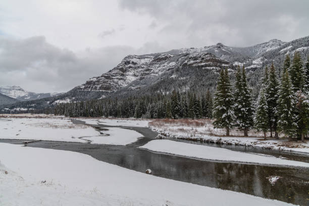 istock Peaceful and beautiful Yellowstone winter landscape 1287310561