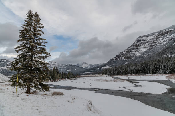 istock Peaceful and beautiful Yellowstone winter landscape 1287311266