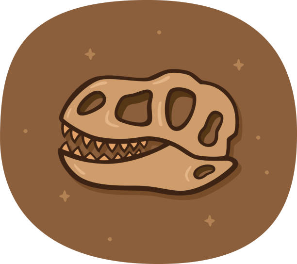 Dinosaur Skull Doodle Vector illustration of a hand drawn dinosaur skull against a brown background. animal skull stock illustrations