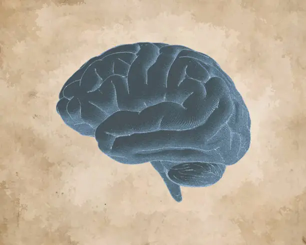 Vector illustration of Vintage brain drawing with old paper texture BG