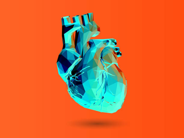 오렌지 bg에 고립 된 다채로운 다각형 오르간 심장 삽화 - heart shape human vein love human artery stock illustrations
