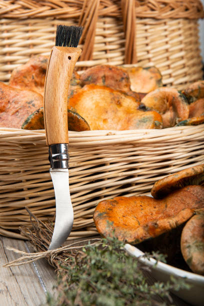 キッチンテーブルのバスケットとボウルのサフランミルクキャップ - cooking kitchen utensil wood isolated ストックフォトと画像