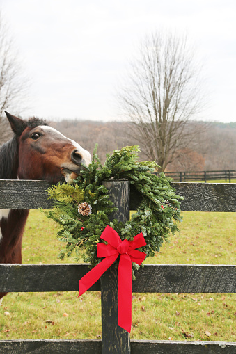 A holiday wreath sets the stage for this touching and festive rural scene