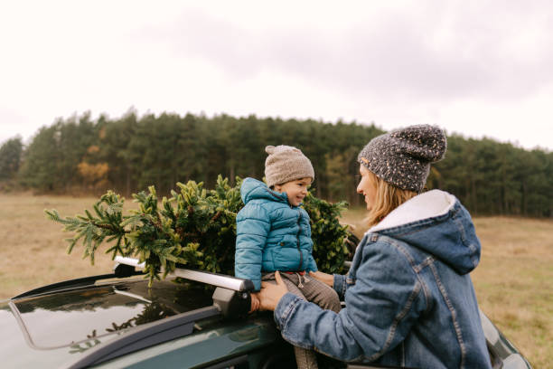 istock We've found the perfect Christmas tree! 1287318576