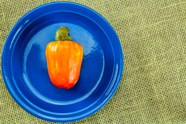 Fresh cashew fruit. Cashew, aka Caju, typical Brazilian fruit rich in vitamin C and zinc, placed in a blue dish on a jute cloth in top view