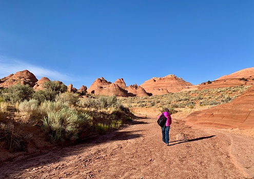 Big Water, Utah, USA - September 8, 2020:Tourists are hiking Wire Pass Trail to Buckskin Gulch canyon, which is the the world’s longest slot canyon.