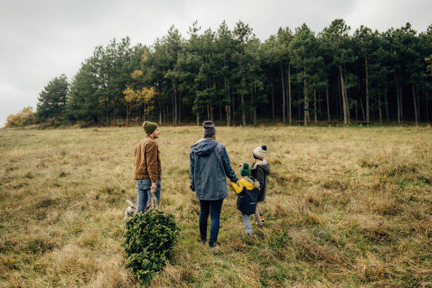 istock We've chosen the perfect Christmas tree! 1287319627