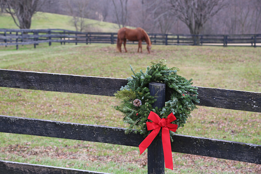 The farm is looking festive with this beautiful wreath, hung over a post in a horse pasture.