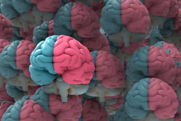 istock 3D rendering crowd of human brains illustration 1287323817