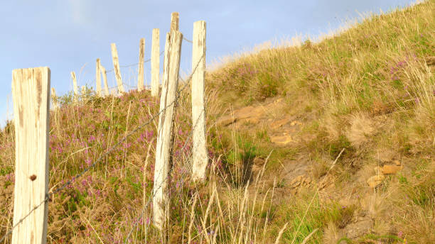 istock Path, natural way with fence in the mountain 1287324490