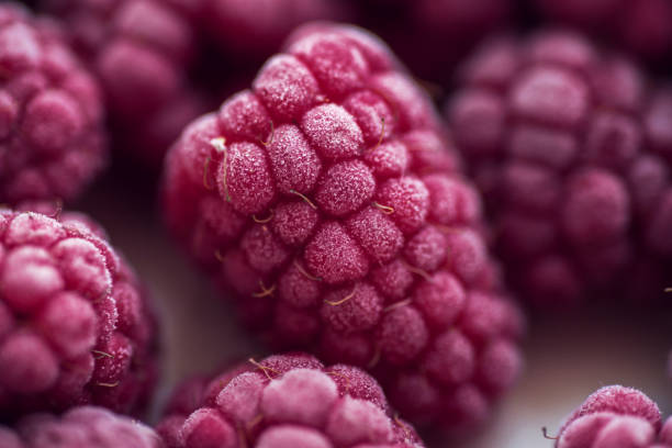 frozen raspberries in an ice cube with beautiful unusual lighting , macro photography , food art photography