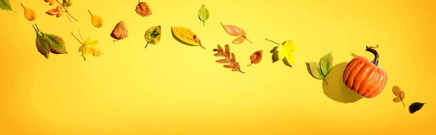 istock Autumn pumpkin with colorful leaves overhead view 1287329875