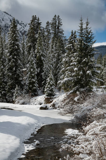 istock Winter landscape scene with mountains and snow 1287332861