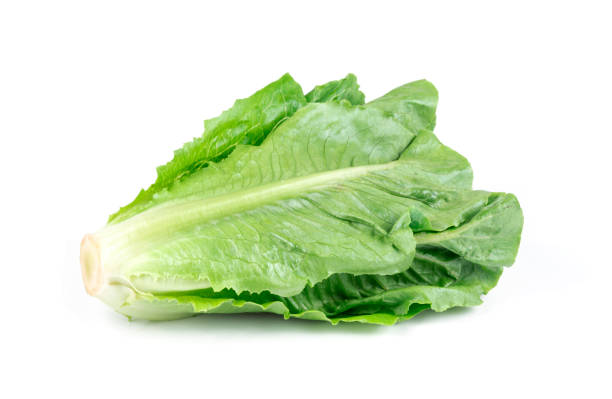 Fresh green Lettuce leaves isolated on white background.