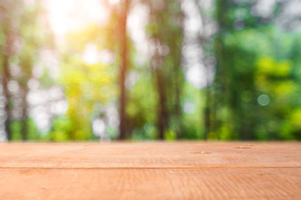 istock Selective focus of empty old wood on blur nature green leaf with bokeh abstract background. 1287342550