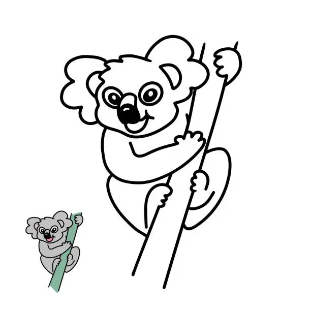 Vector illustration of Coloring book for kids Koala on a branch