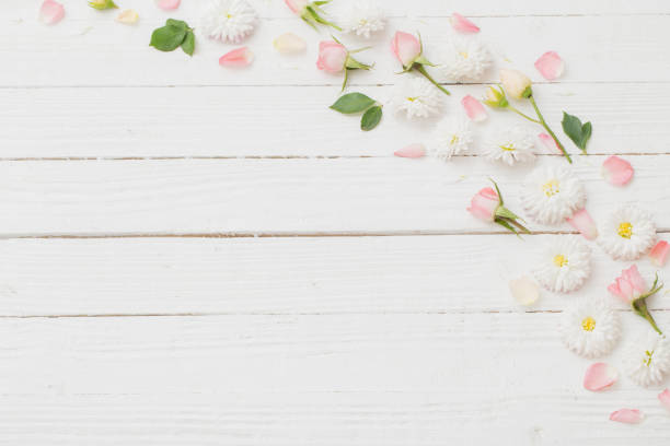 istock pink and white flowers on white wooden background 1287353838