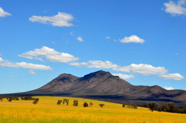istock Rural countryside with the Stirling Range as backdrop 1287357372