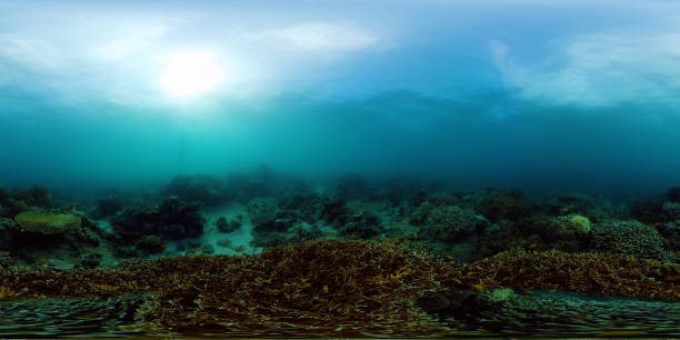 istock Coral reef with fish underwater. Philippines. Virtual Reality 360 1287357536