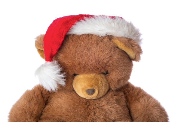 istock Teddy bear in christmas hat, isolated on white background. 1287361199