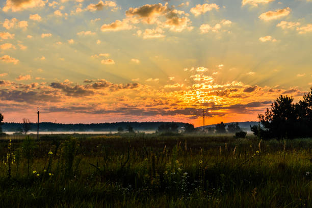 istock Fog on a meadow in morning on summer 1287363544