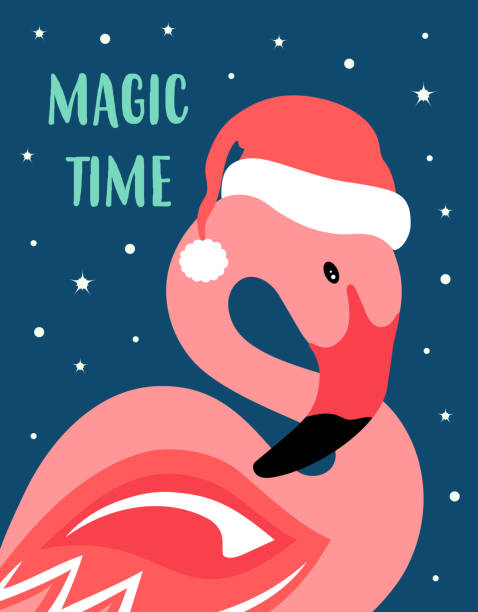 illustrazioni stock, clip art, cartoni animati e icone di tendenza di cartolina di natale con fenicottero carino, illustrazione vettoriale - white pink flamingo blue