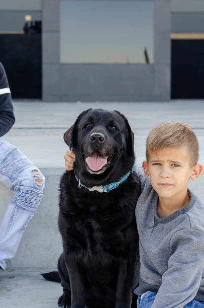 istock Love pets concept. Child and dog. 1287368007