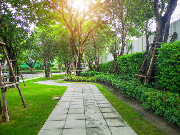 istock Grey pattern of concrete walkway on smooth green grass lawn, greenery trees and shrub in a good maintenance landscape and garden under sunlight morning 1287369115