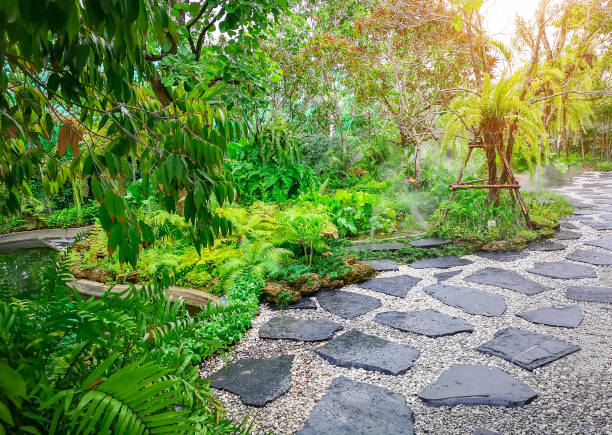 Free form pattern of black stone walkway and white gravel in a tropical backyard garden, greenery fern epiphyte plant, shrub and bush under shading of the trees, good care maintenance landscaping watering by fogy sprinkler patrón de forma libre de pasarela de piedra negra y grava blanca en un jardín de patio trasero tropical, planta de epífitas de helechos de vegetación, arbusto y arbusto bajo el sombreado de los árboles, buen cuidado mantenimiento paisajismo riego por