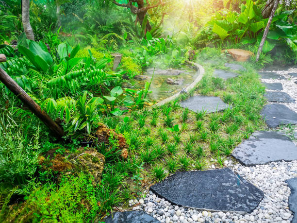 padrão de forma livre de passarela de pedra preta e cascalho branco em um jardim de quintal tropical, planta de epífitas de samambaia, arbusto e arbusto sob sombreamento das árvores, boa manutenção de manutenção paisagismo regando por aspersor nebul - caminho de jardim - fotografias e filmes do acervo