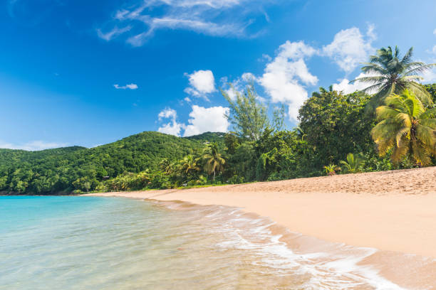 istock Pearl Beach in Guadeloupe in Caribbean 1287372093