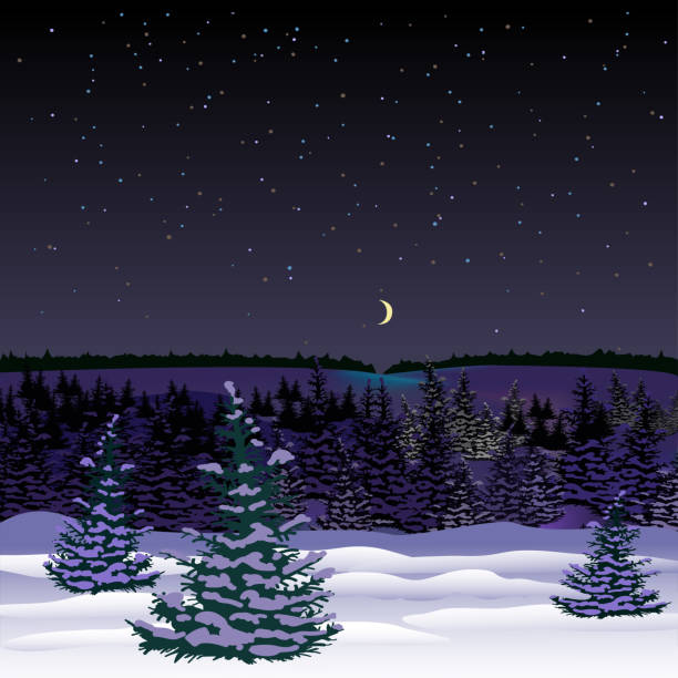 istock New year's landscape of the forest. 1287373039