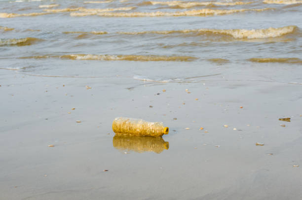 istock Plastice Bottle Waste on is a Pollution Reason of Climate Change. 1287374853
