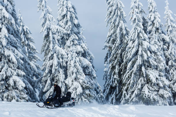istock Snowmobiles and forest, mountain 1287375105