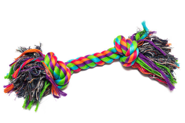 istock Multi-colored toy rope for dogs, isolated on white background 1287377933