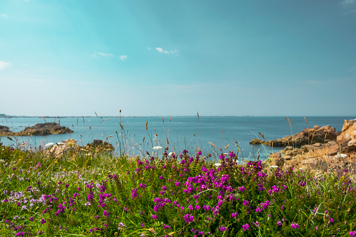 Ile de Bréhat at the Côtes d'Armor in Bretagne France during a beautiful summer day. Ile de Brehat is a popluair tourist destination and a place to spend a vacation in one of the idyllic cottages.