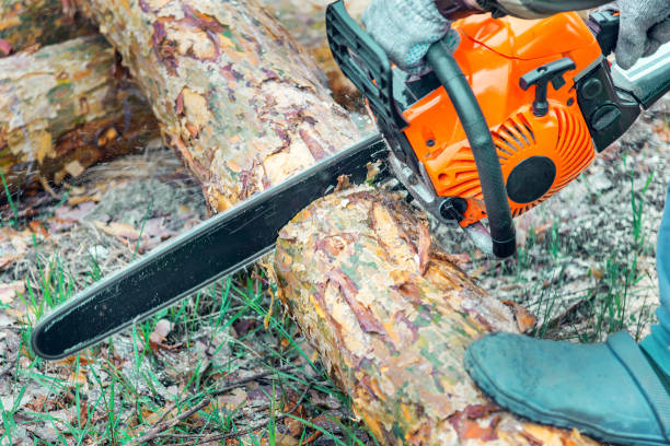istock orange chainsaw man sawing logs 1287379831