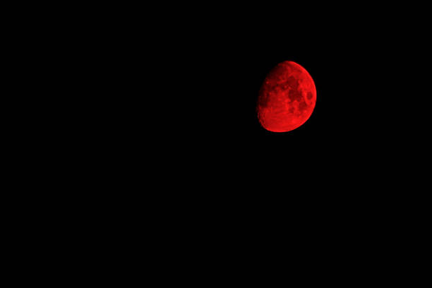 istock Red moon on black background. Nature landscape. 1287382761