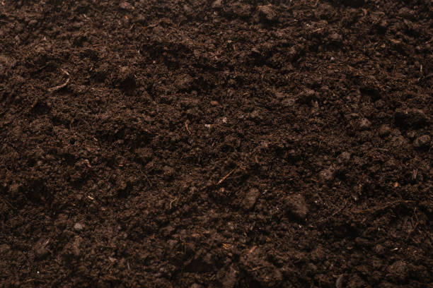 istock Black land for plant background. 1287384129