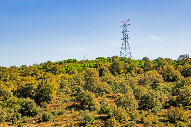 istock landscape and green trees in nature 1287386503