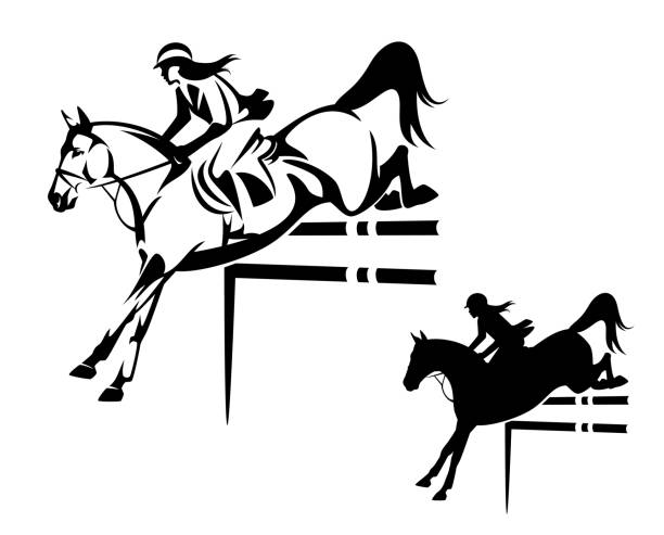 ilustrações de stock, clip art, desenhos animados e ícones de woman riding horse in show jumping competition black and white vector design - hurdling hurdle vector silhouette
