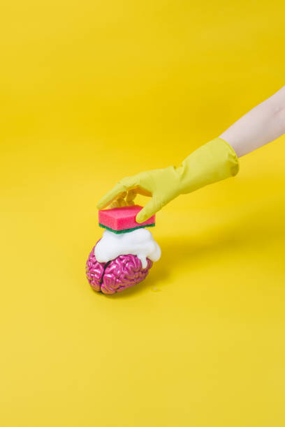 мытье мозга игрушка с губкой - brain wash стоковые фото и изображения