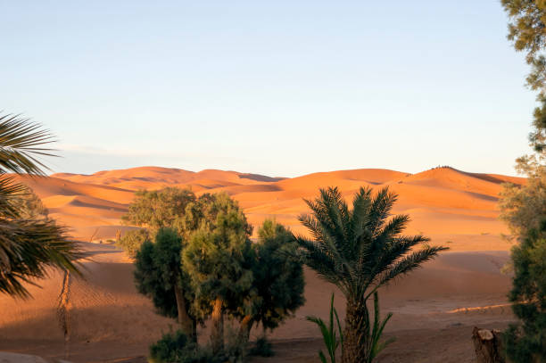 istock Afternoon light on Erg Chebbi, Merzouga, Morocco 1287392368