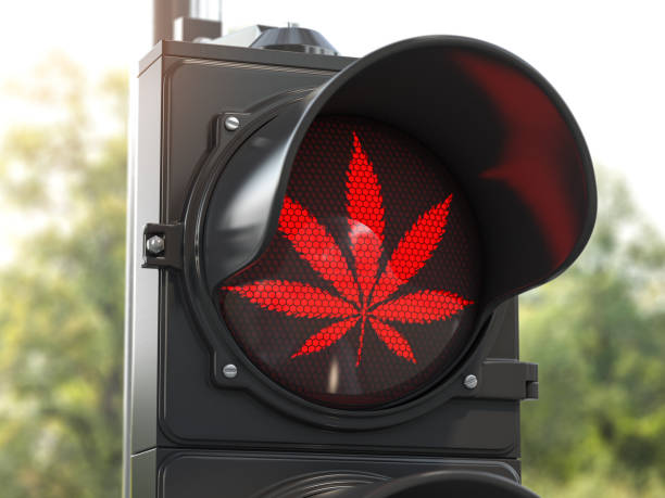 Cannabis leaf on red traffic light. Cannabis and marijuana prohibition concept. Cannabis leaf on red traffic light. Cannabis and marijuana prohibition concept. 3d illustration legalization stock pictures, royalty-free photos & images